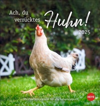 Abbildung von: Hühner Postkartenkalender 2025 - Ach, du verrücktes Huhn! - Heye