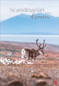 Cover: Scandinavian Dreams Posterkalender 2025 - Heye