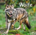 Cover: W&ouml;lfe Kalender 2025 - Weingarten