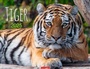 Cover: Tiger Kalender 2025 - Weingarten