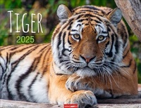 Enlarge image Cover: Tiger Kalender 2025 - Weingarten