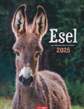Cover: Esel Kalender 2025 - Weingarten