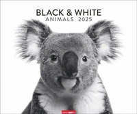 Abbildung von: Black & White Animals 2025 - Weingarten