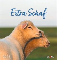 Abbildung von: Extra Schaf Postkartenkalender 2025 - Eiland