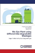 Cover: Bio Gas Plant using Different Bio-degradable Wastages - LAP Lambert Academic Publishing