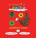 Cover: Magnificent shapes - Rainbow Light School