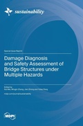 Cover: Damage Diagnosis and Safety Assessment of Bridge Structures under Multiple Hazards - MDPI AG