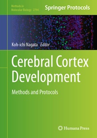 Abbildung von: Cerebral Cortex Development - Humana