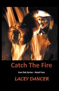 Cover: Catch the Fire - Sydney Clary