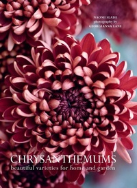 Enlarge image Cover: Chrysanthemums - Gibbs Smith