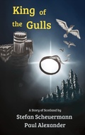 Cover: King of the Gulls - Virtualbookworm.com Publishing