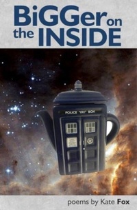 Enlarge image Cover: Bigger on the Inside - Smokestack Books
