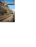 Cover: Rails in the Avon gorge - ALHA Books