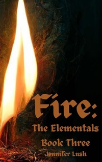 Enlarge image Cover: Fire - JENNIFER WILLIAMS