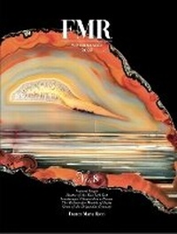 Abbildung von: Fmr No. 8 - Franco Maria Ricci Editore