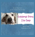 Cover: Lessons From the Coop - Wonderbeagmurph Press