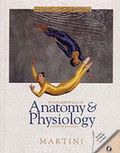 Cover: Fundamental Anatomy and Physiology - Pearson Education (US)