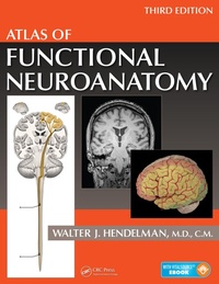 Abbildung von: Atlas of Functional Neuroanatomy - CRC Press