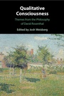 Cover: Qualitative Consciousness - Cambridge University Press