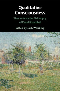 Enlarge image Cover: Qualitative Consciousness - Cambridge University Press