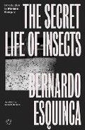 Cover: The Secret Life of Insects - New Ruins