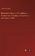 Cover: Illustrated Catalogue of the Collections Obtained from the Indians of New Mexico and Arizona in 1880 - Outlook Verlag