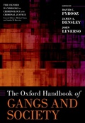 Bild: The Oxford Handbook of Gangs and Society - OUP eBook