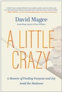 Cover: A Little Crazy - Matt Holt Books