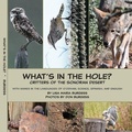 Cover: What's in the hole? Critters of the Sonoran Desert - Barranca Press