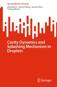 Abbildung von: Cavity Dynamics and Splashing Mechanism in Droplets - Springer