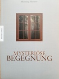 Cover: Mysteri&ouml;se Begegnung - RIMAGINE MEDIA UG