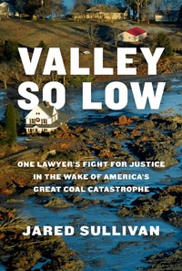 Enlarge image Cover: Valley So Low - Knopf