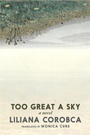 Cover: Too Great a Sky - Seven Stories Press