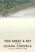 Cover: Too Great a Sky - Seven Stories Press
