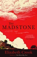 Cover: The Madstone - Bedford Square Publishers