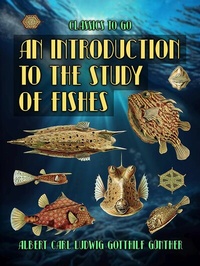 Abbildung von: An Introduction To The Study Of Fishes - OTB eBook publishing