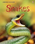 Cover: Discovery Snakes - Usborne Publishing Ltd