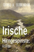 Cover: Irische Hirngespinste: Roman - Uksak E-Books