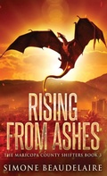 Cover: Rising from Ashes - Next Chapter