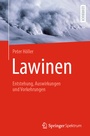 Bild: Lawinen - Springer Spektrum
