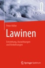 Bild: Lawinen - Springer Spektrum