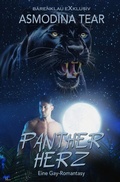 Cover: Pantherherz - Eine Gay-Romantasy - epubli