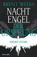 Cover: Nachtengel - Der Ursprung - Blanvalet