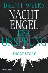 Abbildung von: Nachtengel - Der Ursprung - Blanvalet