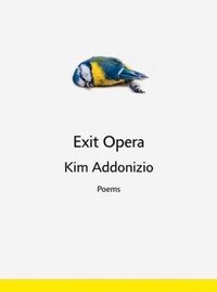Enlarge image Cover: Exit Opera - WW Norton & Co