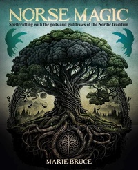 Abbildung von: Norse Magic - Sirius Entertainment