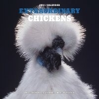 Abbildung von: Extraordinary Chickens 2025 Wall Calendar - Abrams Calendars