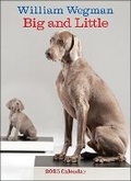 Cover: William Wegman Big and Little 2025 Wall Calendar - Abrams Calendars