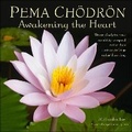 Cover: Pema Choedroen 2025 Wall Calendar - Andrews McMeel Publishing