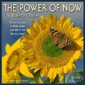 Cover: The Power of Now 2025 Wall Calendar - Andrews McMeel Publishing
